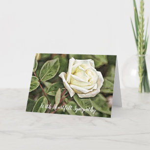 Painted White Rose Sympathy Card