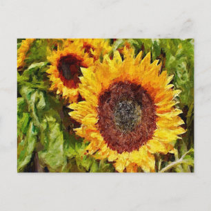 Painted Yellow Sunflowers Postcard