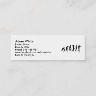 Painter evolution mini business card
