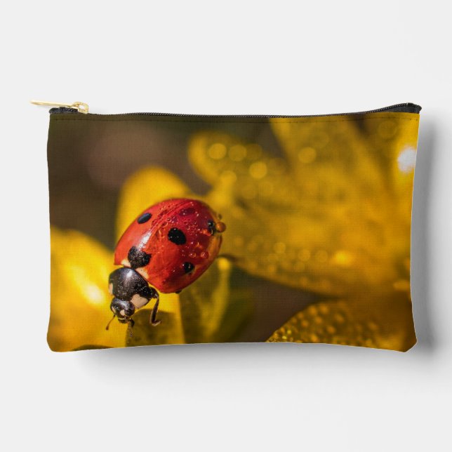 Painting Accessory Pouch (Front)