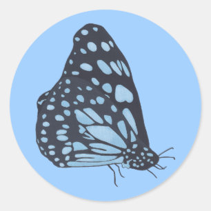Painting Black Butterfly Blue Spots Stickers