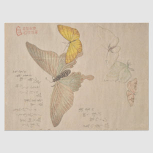 Painting Manual of Flock of Butterflies by Shunman Tissue Paper