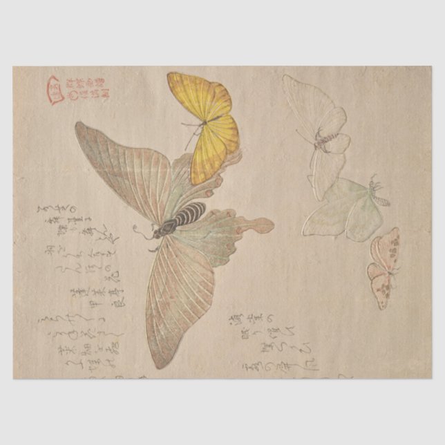 Painting Manual of Flock of Butterflies by Shunman Tissue Paper (Front)