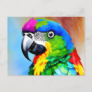 Painting of a parrot with colourful feathers postcard
