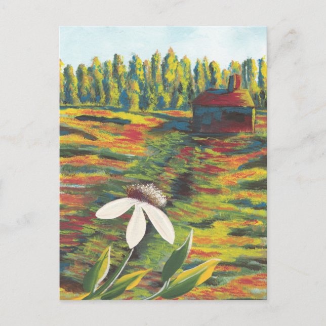 Painting of Flower Meadow & Shack Postcard (Front)