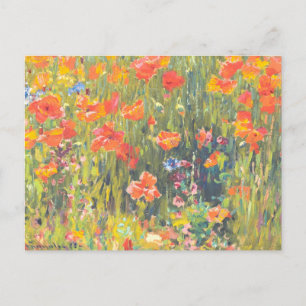 Painting of Poppies Postcard