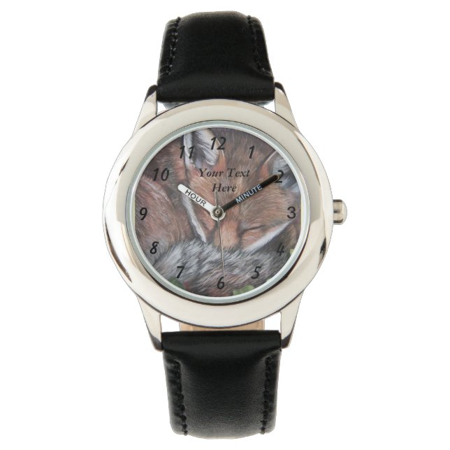 painting of red fox sleeping wildlife watch (Front)