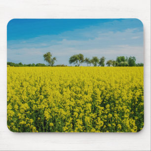 Painting of yellow flowers field mouse pad