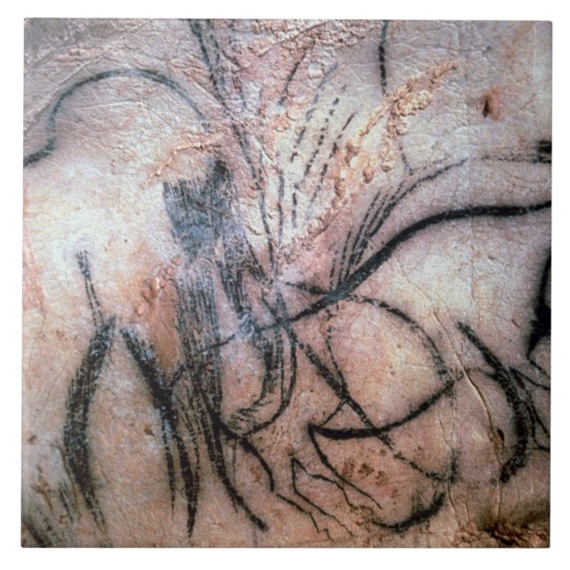 Paintings depicting mammoth and cattle, from the C Tile (Front)