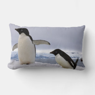 Pair Adelie penguins Antarctica Lumbar Pillow