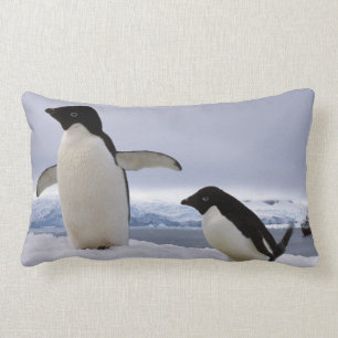 Pair Adelie penguins Antarctica Lumbar Pillow