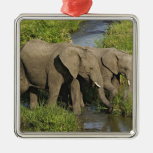 Pair of African Elephants Masai Mara Metal Ornament