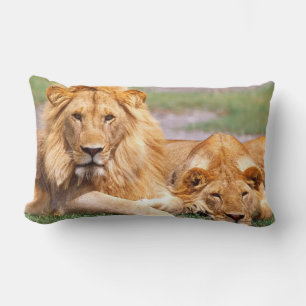 Pair of African Lions, Panthera leo, Tanzania Lumbar Pillow