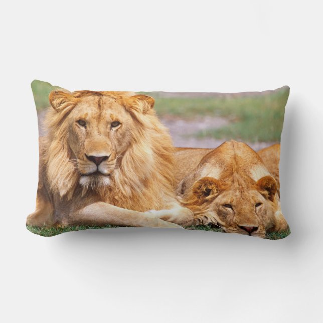 Pair of African Lions, Panthera leo, Tanzania Lumbar Pillow (Front)