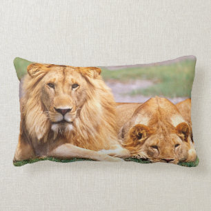 Pair of African Lions, Panthera leo, Tanzania Lumbar Pillow