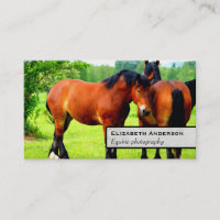 Pair Of Bay Polish Horses | Green Landscape