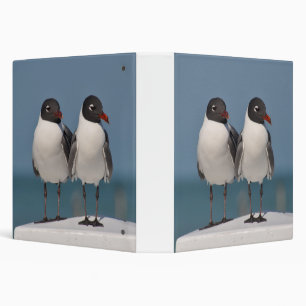 Pair of Black Headed Gulls Binder