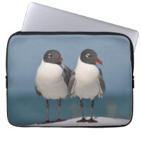 Pair of Black Headed Gulls