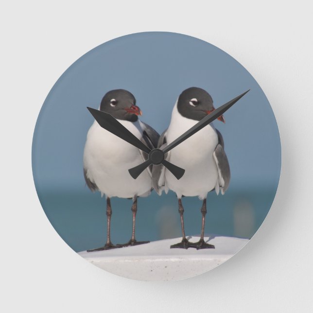 Pair of Black Headed Gulls Round Clock (Front)