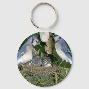 Pair of Blue Jays with young Keychain