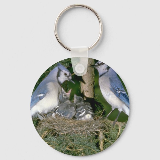 Pair of Blue Jays with young Keychain (Front)