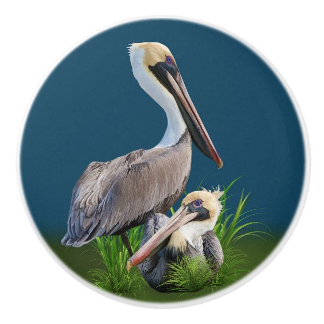 Pair of Brown Pelicans Customizable Ceramic Knob (Front)
