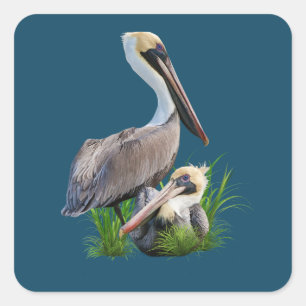 Pair of Brown Pelicans, Customizable Square Sticker