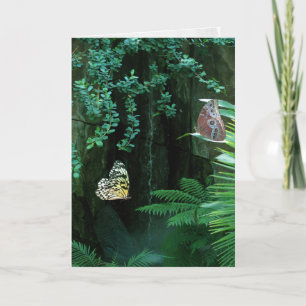 Pair of butterflies in tropical garden sympathy card