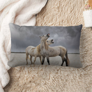 Pair of Camargue Horse Stallions, Southern France Lumbar Pillow