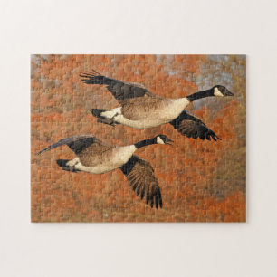 Pair of Canada Geese In Flight Jigsaw Puzzle