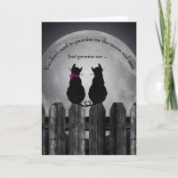 pair of cats in the moonlight