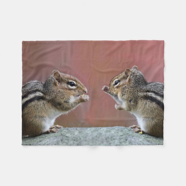 Pair of Chipmunks Fleece Blanket (Front (Horizontal))