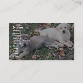 Pair Of Cute Puppies Laying On The Green Grass. Business Card