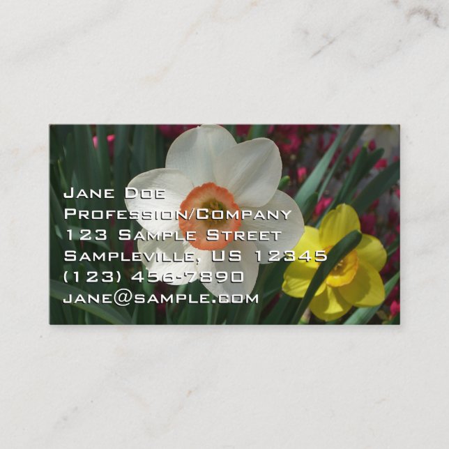 Pair of Daffodils Pink and Yellow Spring Flowers Business Card (Front)