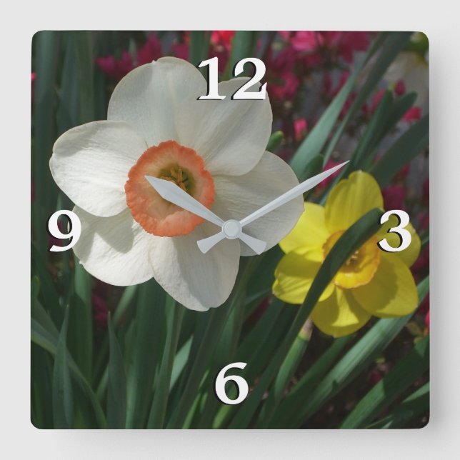 Pair of Daffodils Pink and Yellow Spring Flowers Square Wall Clock (Front)