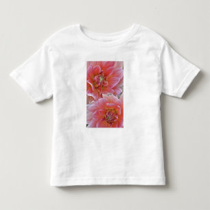 Pair of Dahlia flowers, Dahlia spp. , Toddler T-shirt