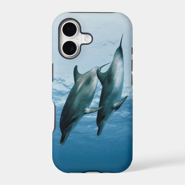 Pair of Dolphins (Back)