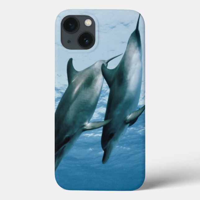 Pair of Dolphins Case-Mate iPhone Case (Back)