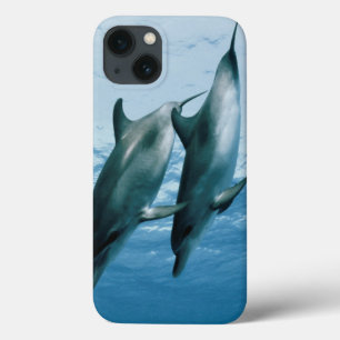 Pair of Dolphins iPhone 13 Case