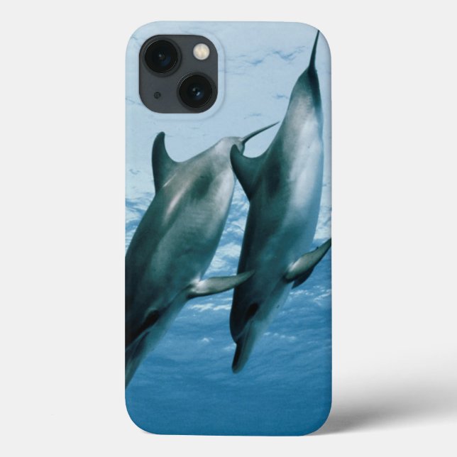 Pair of Dolphins Case-Mate iPhone Case (Back)