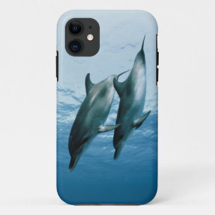 Pair of Dolphins iPhone 11 Case