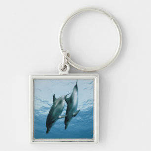 Pair of Dolphins Keychain
