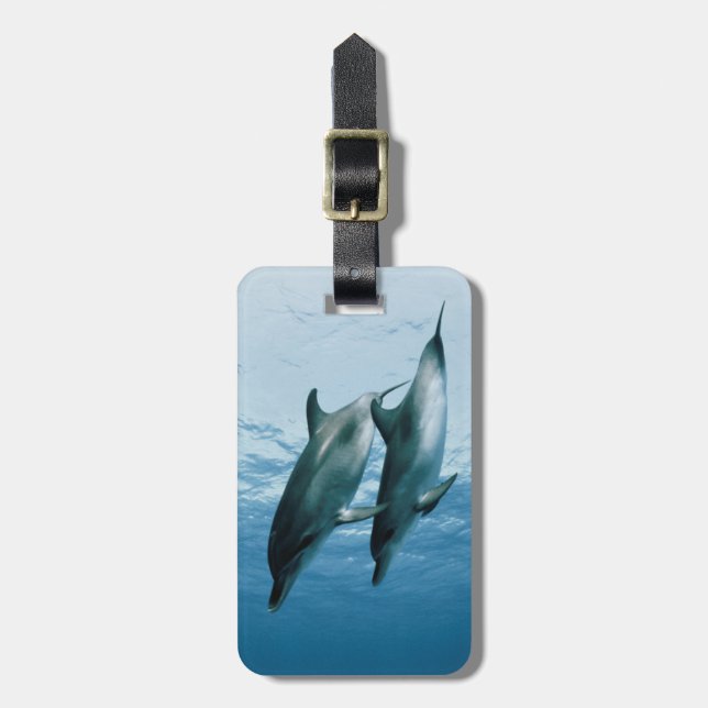 Pair of Dolphins Luggage Tag (Front Vertical)
