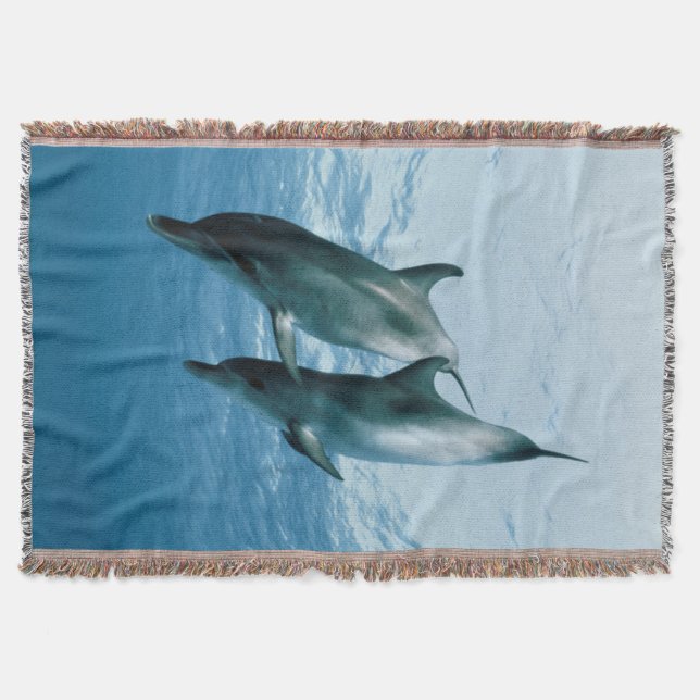Pair of Dolphins Throw Blanket (Front)