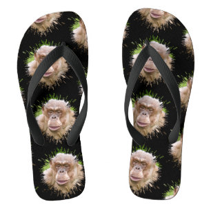 Pair of Flip Flops