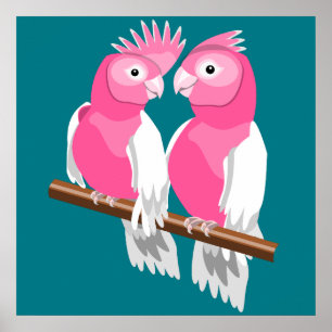 Pair of Galahs Poster