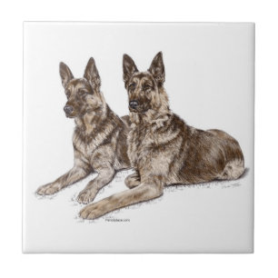 Pair of German Shepherd Dogs Tile
