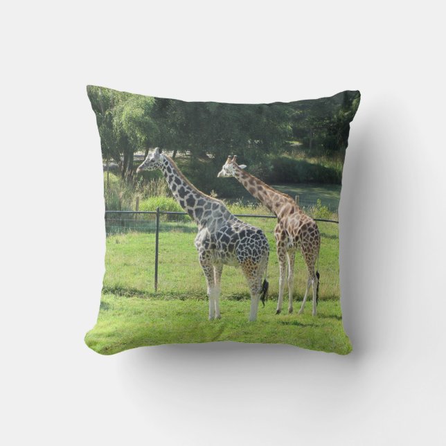 Pair of Giraffes Throw Pillow (Front)