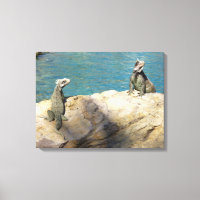 Pair of Iguanas Tropical Wildlife Photography