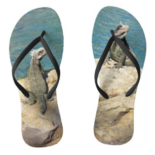 Pair of Iguanas Tropical Wildlife Photography Flip Flops